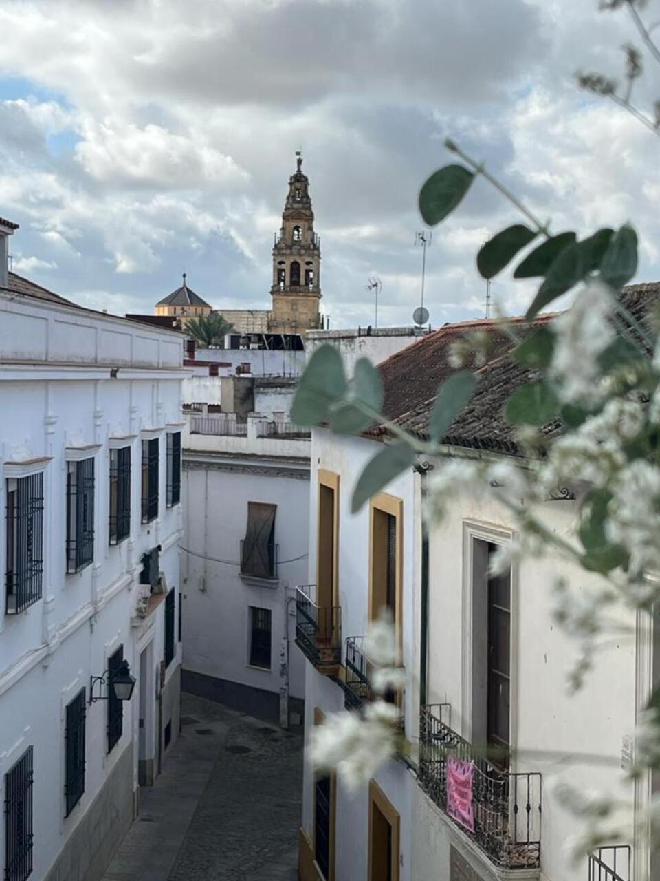 El Balcon De La Torre Apartment Córdoba Exterior foto